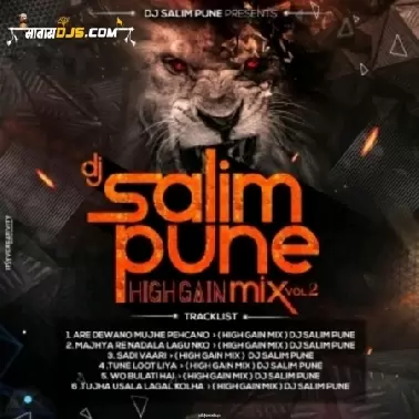 DJ SALIM PUNE HIGH GAIN VOL 2.