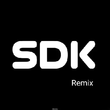 DJ SDK REMIX