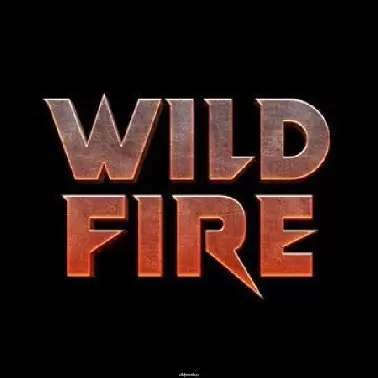 WILD FIRE VOL - 1 (DJ SAHIL SH X DJ SUMYA SD)