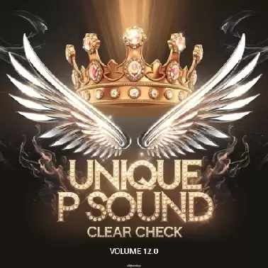  UNIQUE P SOUND 12.1