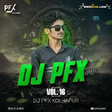 Temblabaichya Naavan   Halgi Mix   DJ PFX Kolhapur