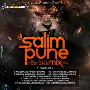 TUNE LOOT LIYA (HIGH GAIN) DJ SALIM PUNE