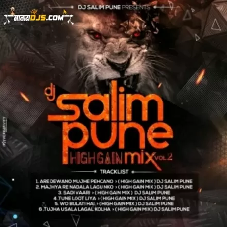 TUNE LOOT LIYA (HIGH GAIN) DJ SALIM PUNE