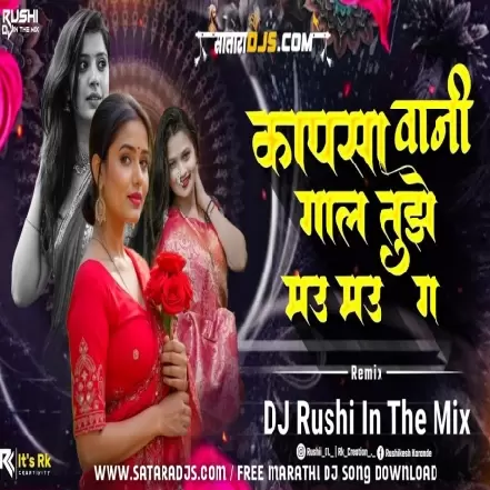 Kapsa Vani Gal Tujhe   DJ DEZZ