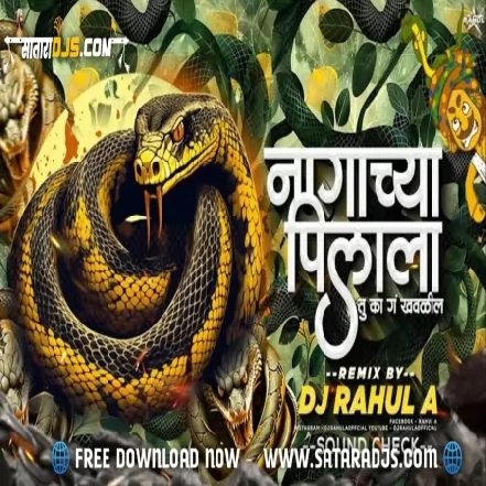 NAGACHYA PILYAA ( RUN IT UP ) DJ PS