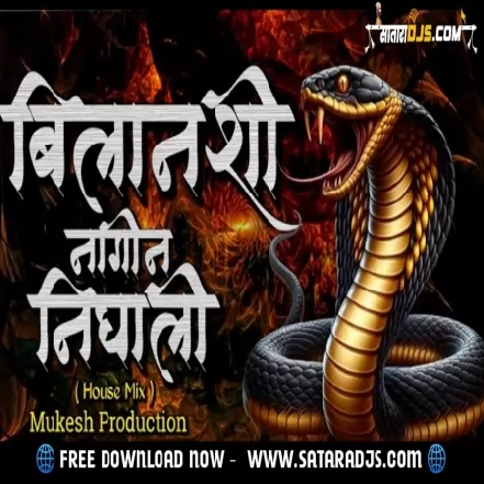 BILANCHI NAGIN ( House Mix ) Mukesh Production...