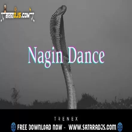 Trenex   Nagin Dance (Original mix)