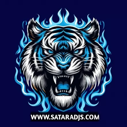 Dillicha Dalan   HIGH GAIN   DJ VISHAL SOLAPUR